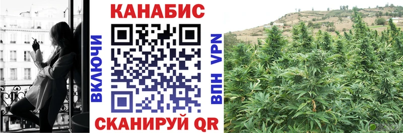 Шишки марихуана Amnesia  Купить где  Куровское 